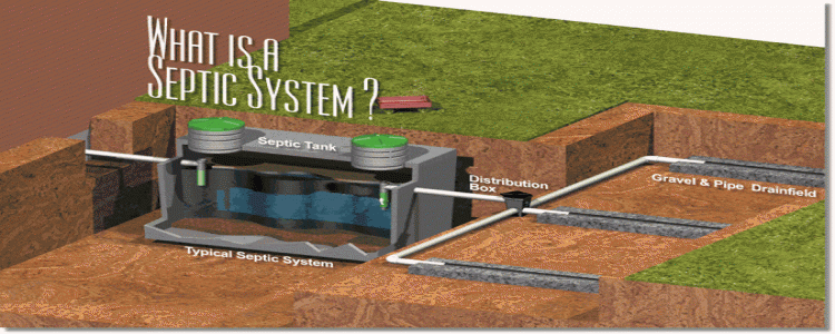 septic tank 
      maintenance texas cities 
      zip batch